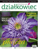 lipcowy „działkowiec”