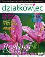 sierpniowy „działkowiec” sierpniowy „działkowiec”