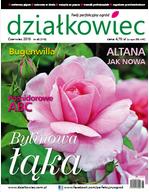czerwcowy „działkowiec”