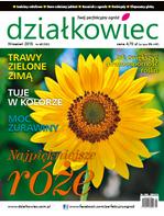 wrześniowy „działkowiec”