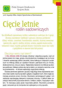 ciecie letnie