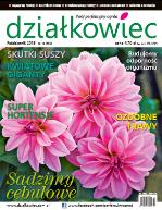 październikowy „działkowiec” październikowy „działkowiec”