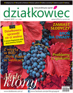 listopadowy „działkowiec” listopadowy „działkowiec”