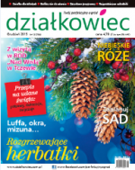 grudniowy „działkowiec”