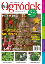 grudniowy „Mój Ogródek”