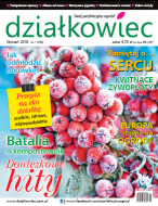 styczniowy „działkowiec” styczniowy „działkowiec”
