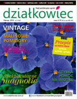 marcowy „działkowiec”