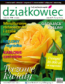 czerwcowy „działkowiec” czerwcowy „działkowiec”