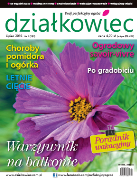 lipcowy „działkowiec”