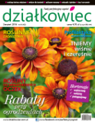sierpniowy „działkowiec”