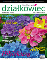 wrześniowy „działkowiec” wrześniowy „działkowiec”