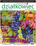 październikowy „działkowiec” październikowy „działkowiec”