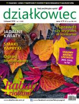 listopadowy „działkowiec”