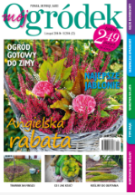 listopadowy „Mój Ogródek”