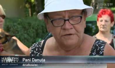 Wątpliwie moralnie osoby szkalują PZD. To&nbsp;jest wiarygodne źródło dla TVP?