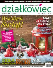 grudniowy „działkowiec”