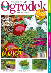 grudniowy „Mój Ogródek”