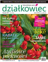 styczniowy „działkowiec” styczniowy „działkowiec”