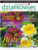 majowy „działkowiec” majowy „działkowiec”