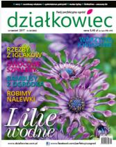 wrześniowy „działkowiec” wrześniowy „działkowiec”