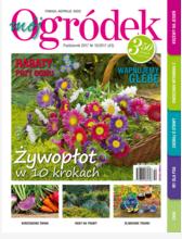 październikowy „Mój Ogródek”