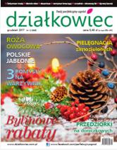 grudniowy „działkowiec”