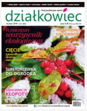 Styczniowy „działkowiec”