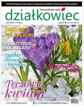 lutowy „działkowiec” lutowy „działkowiec”