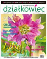 marcowy „działkowiec”