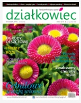 kwietniowy „działkowiec” kwietniowy „działkowiec”
