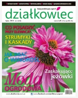 lipcowy „działkowiec” lipcowy „działkowiec”