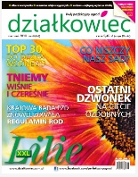 sierpniowy „działkowiec”