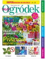 sierpniowy „Mój Ogródek”