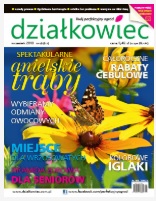 wrześniowy „działkowiec”