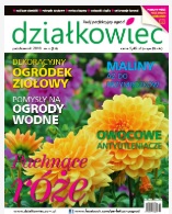 październikowy „działkowiec” październikowy „działkowiec”