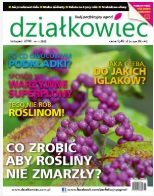 listopadowy „działkowiec” listopadowy „działkowiec”