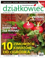 grudniowy „działkowiec”