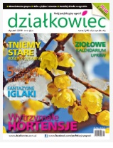 styczniowy „działkowiec” styczniowy „działkowiec”