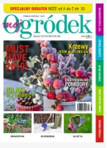 Styczniowy „Mój Ogródek” Styczniowy „Mój Ogródek”