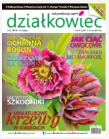 Lutowy „działkowiec”