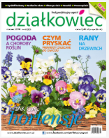 marcowy „działkowiec”