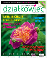 czerwcowy „działkowiec”