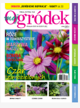 Wrześniowy „Mój Ogródek” Wrześniowy „Mój Ogródek”