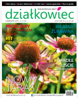 październikowy „działkowiec”