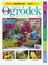 Październikowy „Mój Ogródek”