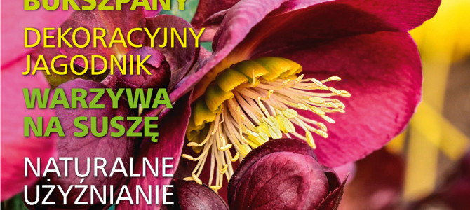 styczniowy „działkowiec” styczniowy „działkowiec”
