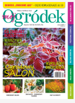 styczniowy „Mój Ogródek” styczniowy „Mój Ogródek”