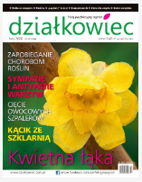 Lutowy „działkowiec” Lutowy „działkowiec”
