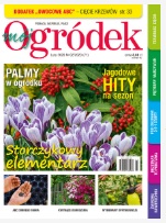 Lutowy „Mój Ogródek” Lutowy „Mój Ogródek”