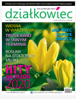 majowy „działkowiec”